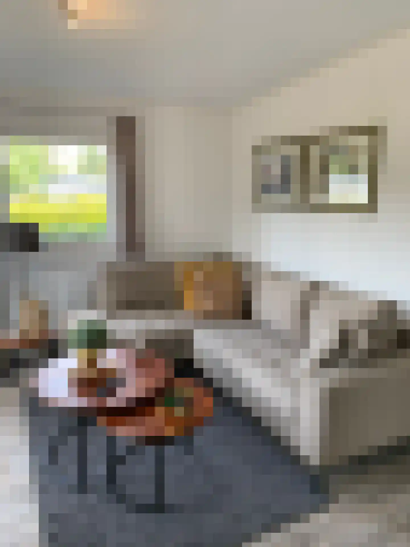 Kievit 12 b 578 Baarle-Nassau thumbnail 9