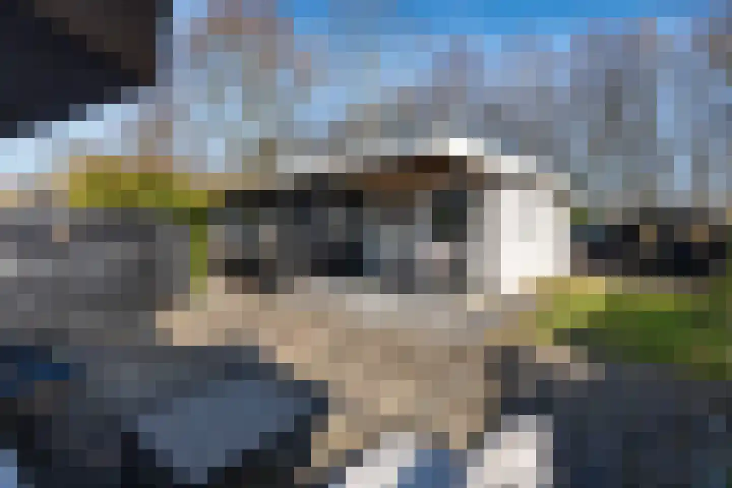 Kievit 12 b 597 Baarle-Nassau thumbnail 15