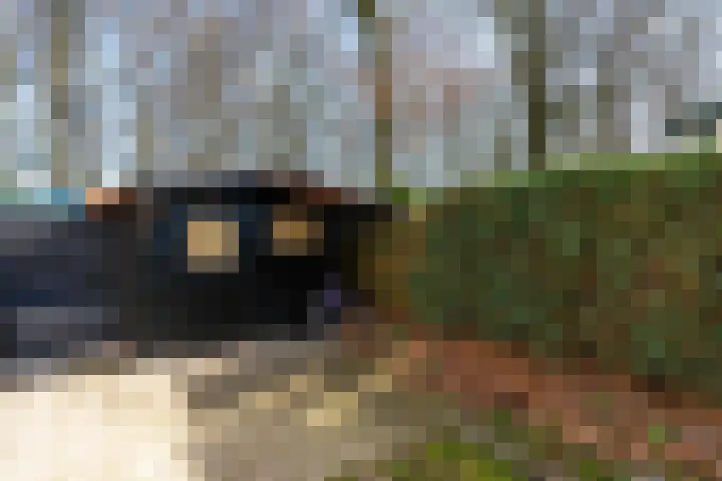 Kievit 12 b 597 Baarle-Nassau thumbnail 16