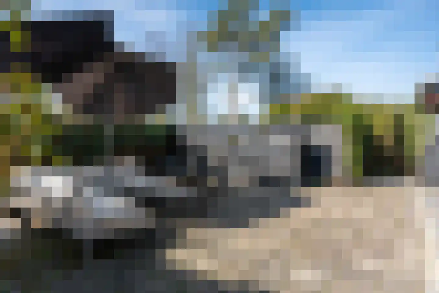 Kievit 12 b 597 Baarle-Nassau thumbnail 17