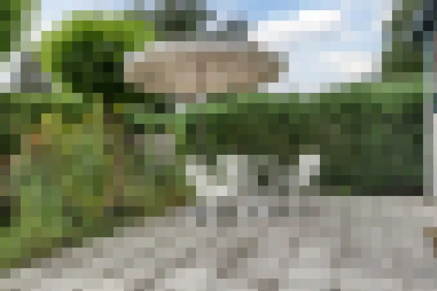 Kievit 12 b 599 Baarle-Nassau thumbnail 19