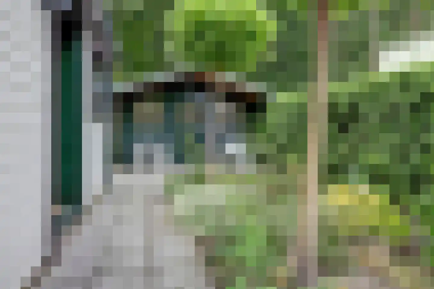 Kievit 12 b 599 Baarle-Nassau thumbnail 21