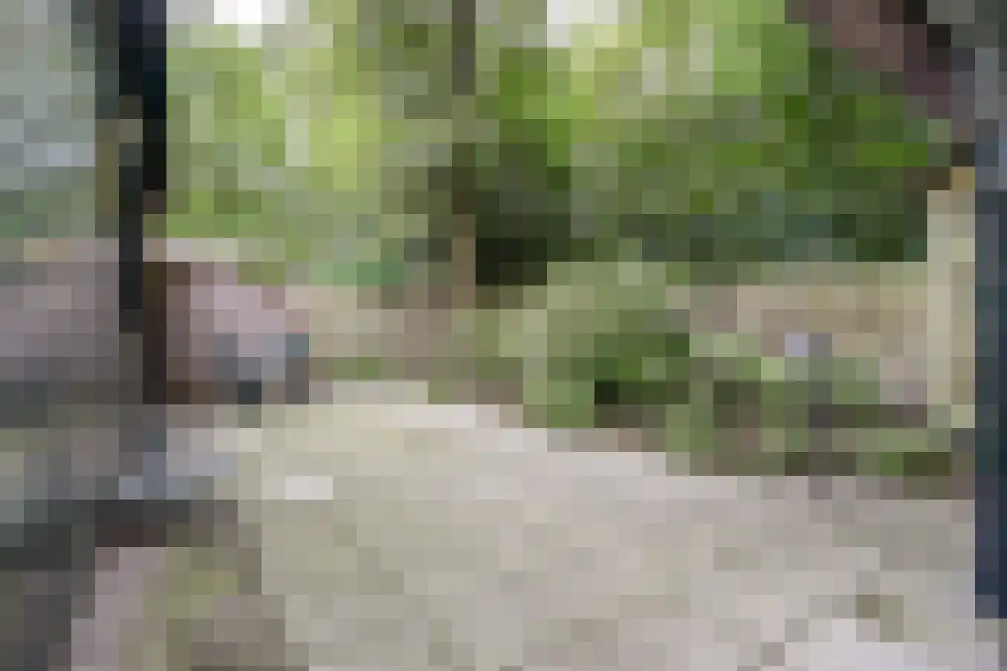 Kievit 12 b 599 Baarle-Nassau thumbnail 22