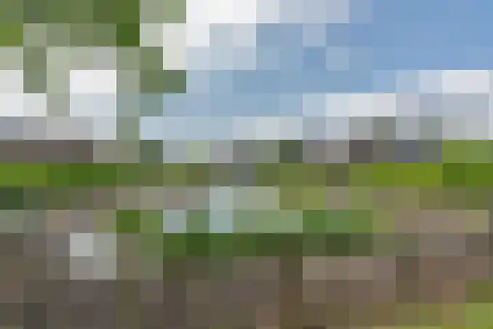 Kievit 12 b 672 Baarle-Nassau thumbnail 28