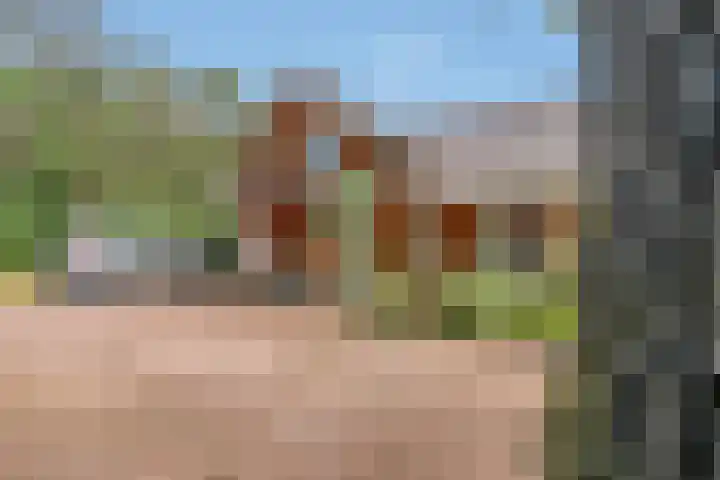 Kievit 12 b 672 Baarle-Nassau thumbnail 29