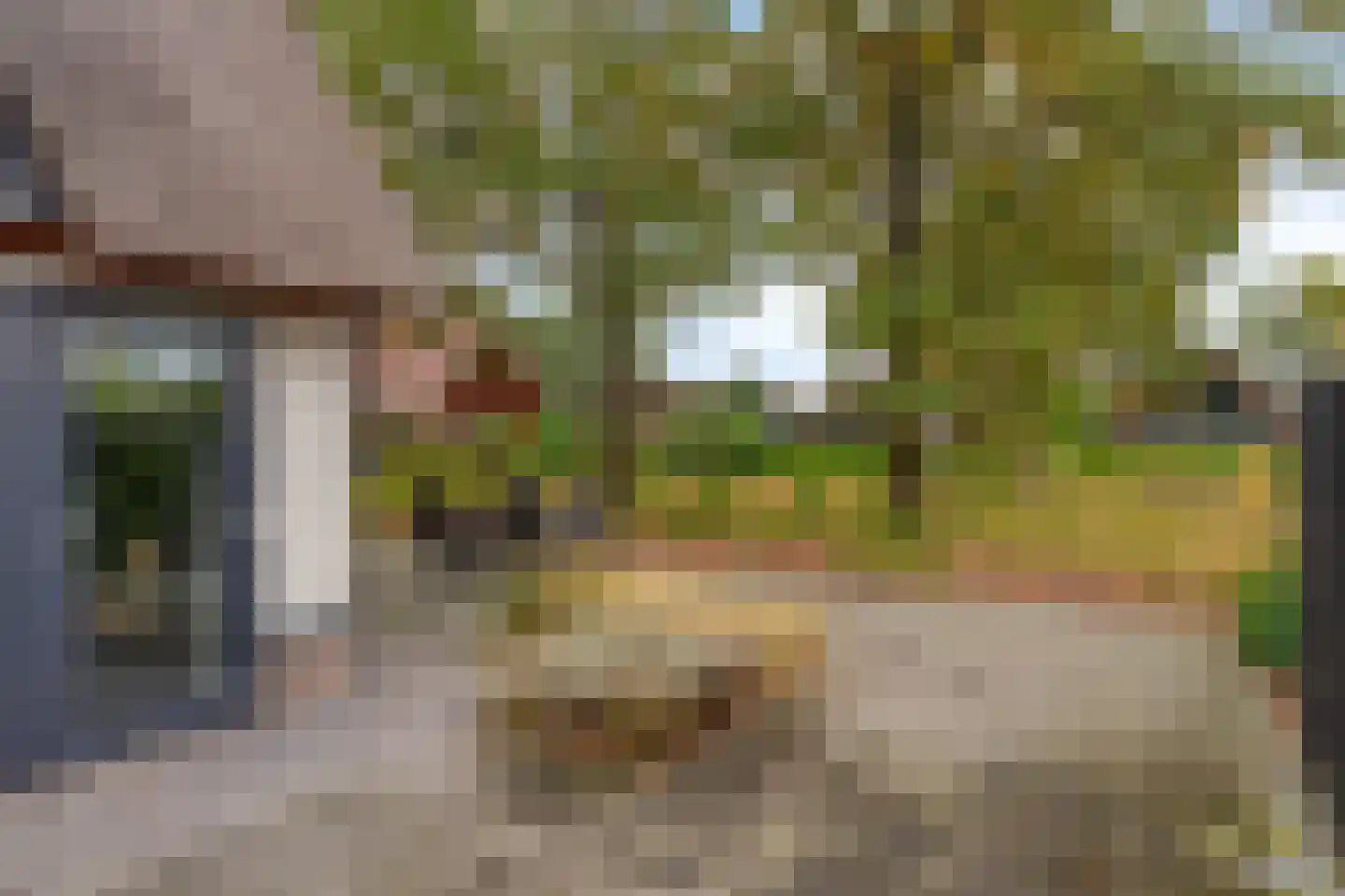 Kievit 12 b 674 Baarle-Nassau thumbnail 37
