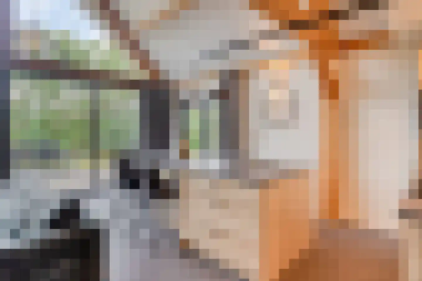 Kievit 12 b 674 Baarle-Nassau thumbnail 7