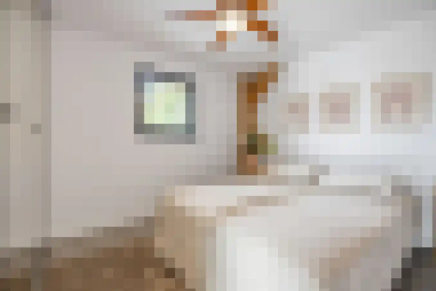 Kievit 12 b 683 Baarle-Nassau thumbnail 20