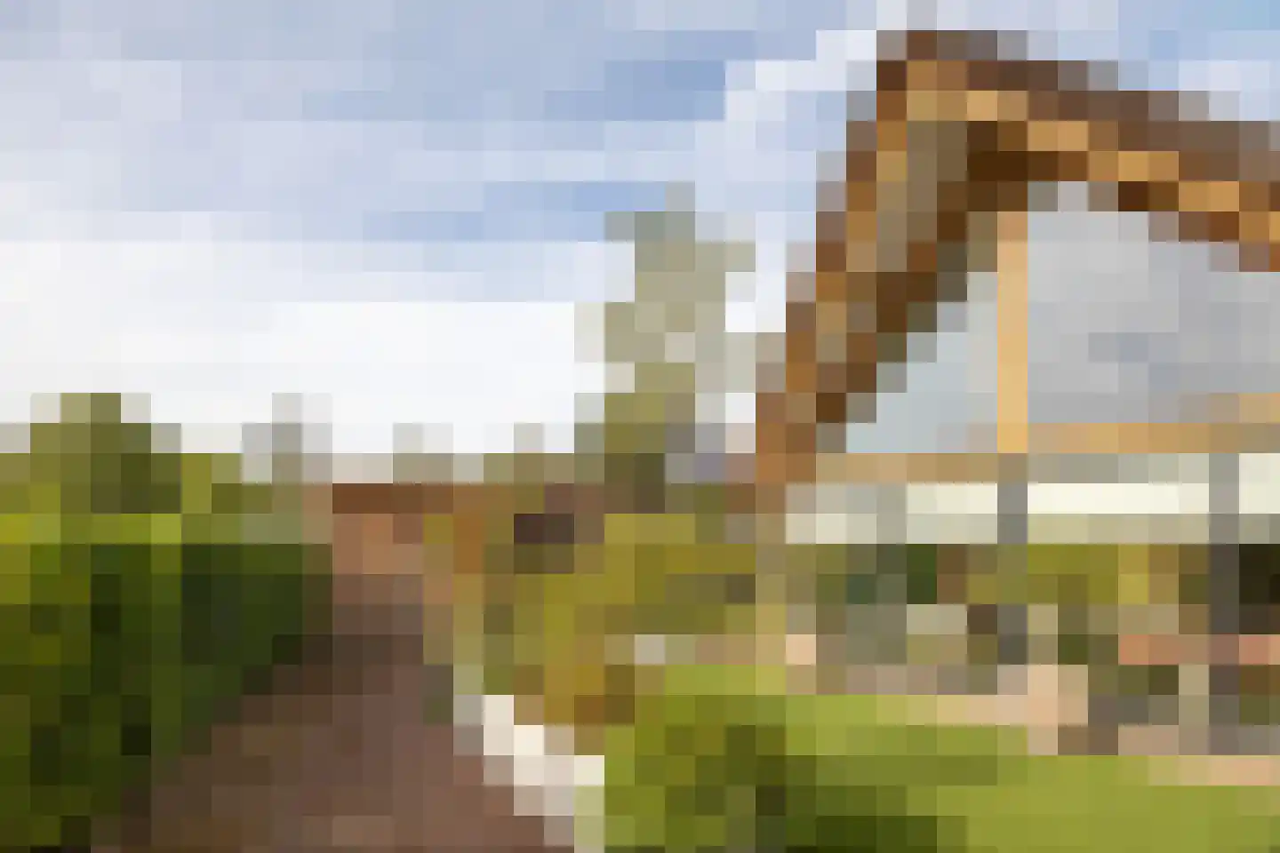 Kievit 12 b 683 Baarle-Nassau thumbnail 40