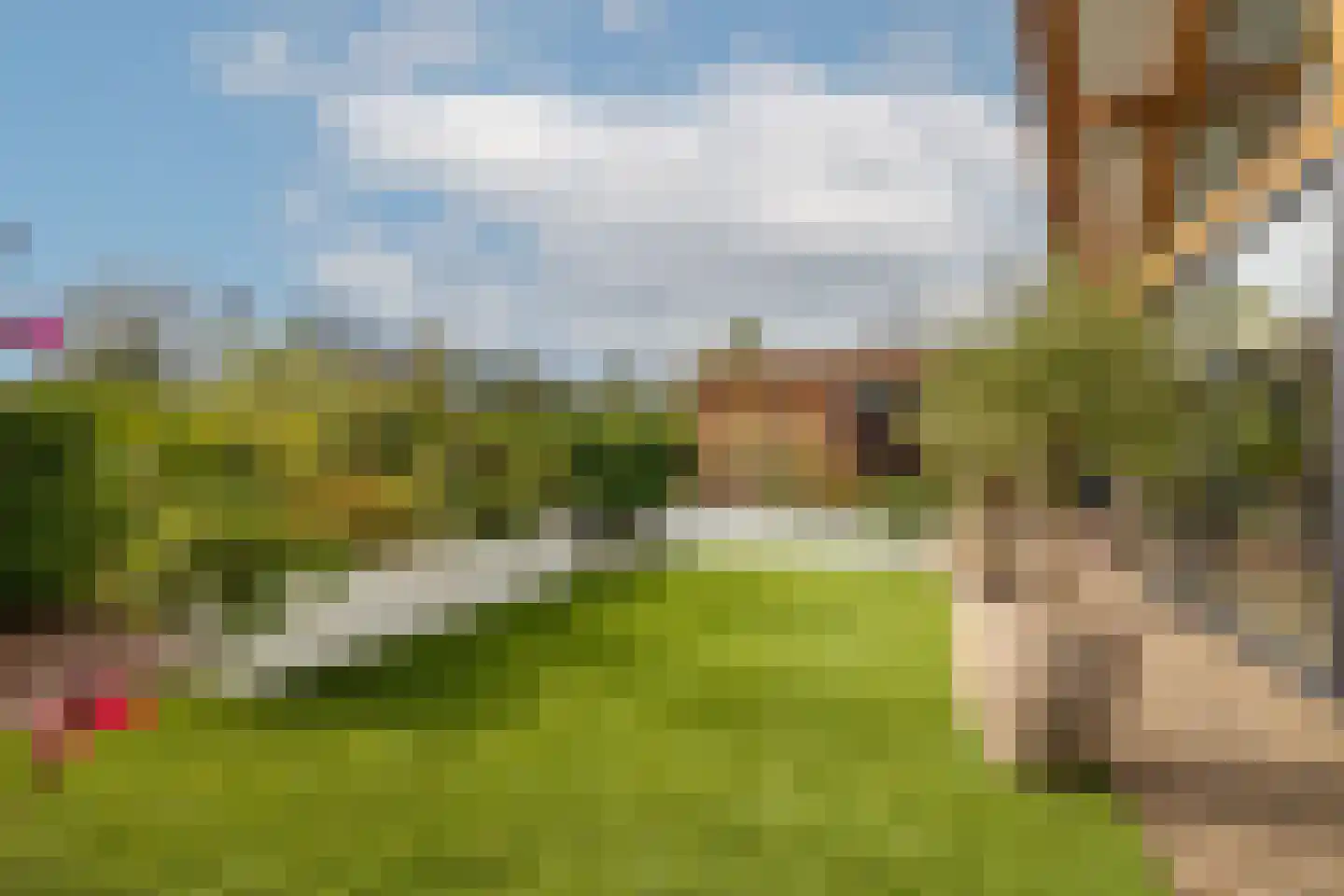 Kievit 12 b 683 Baarle-Nassau thumbnail 41