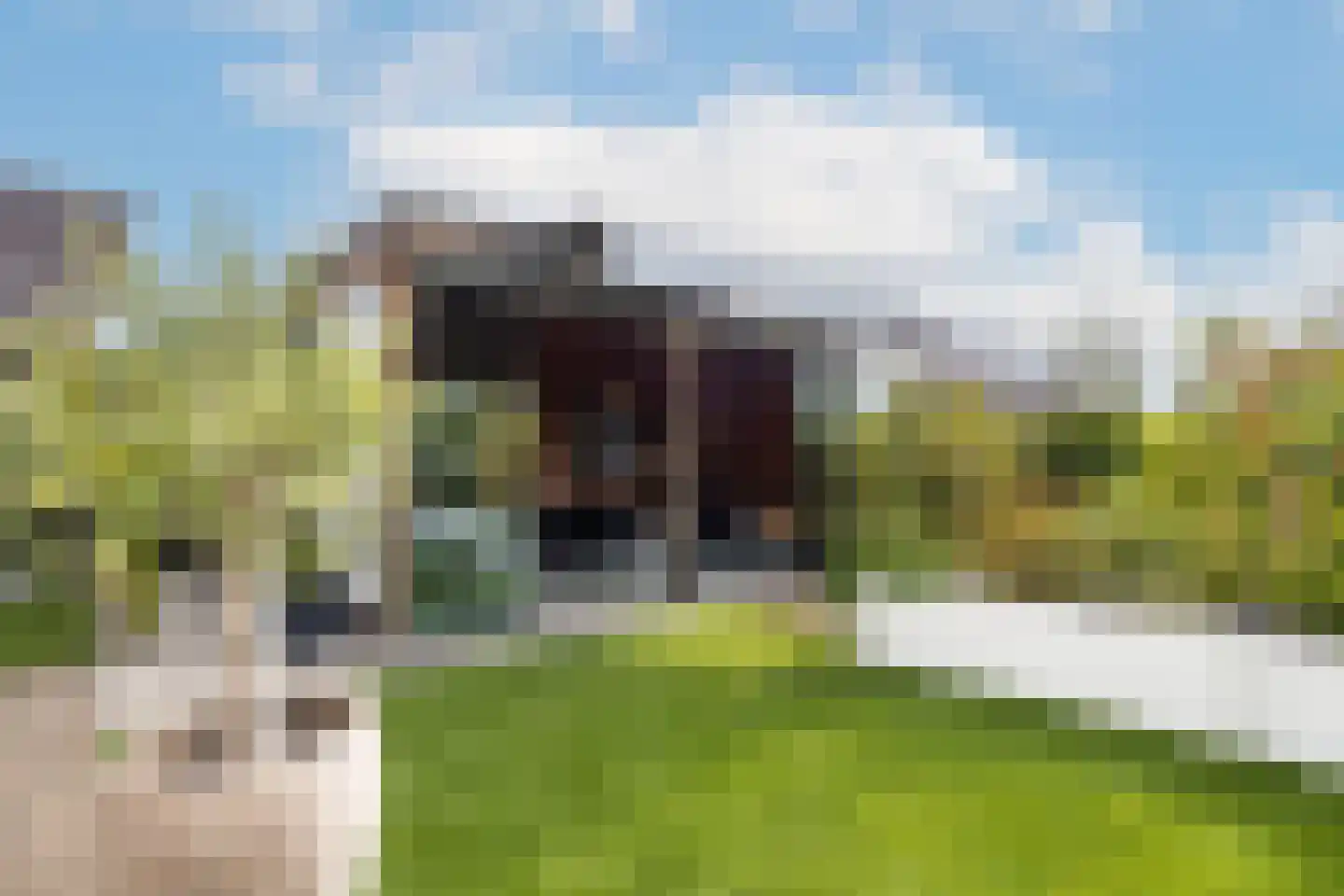 Kievit 12 b 683 Baarle-Nassau thumbnail 48