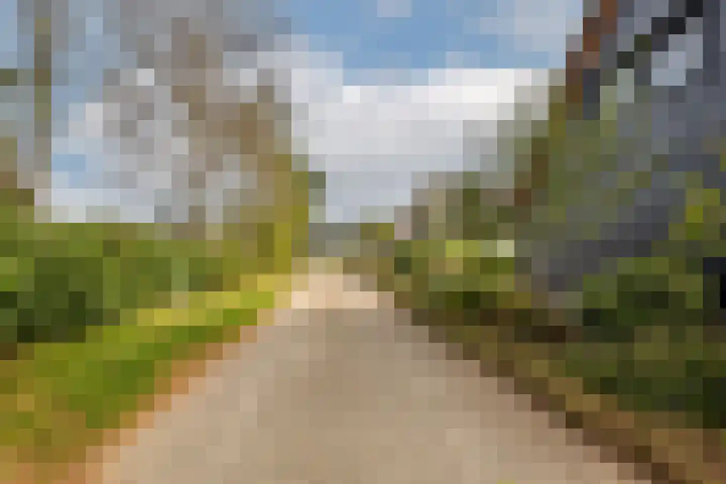 Kievit 12 b 683 Baarle-Nassau thumbnail 58