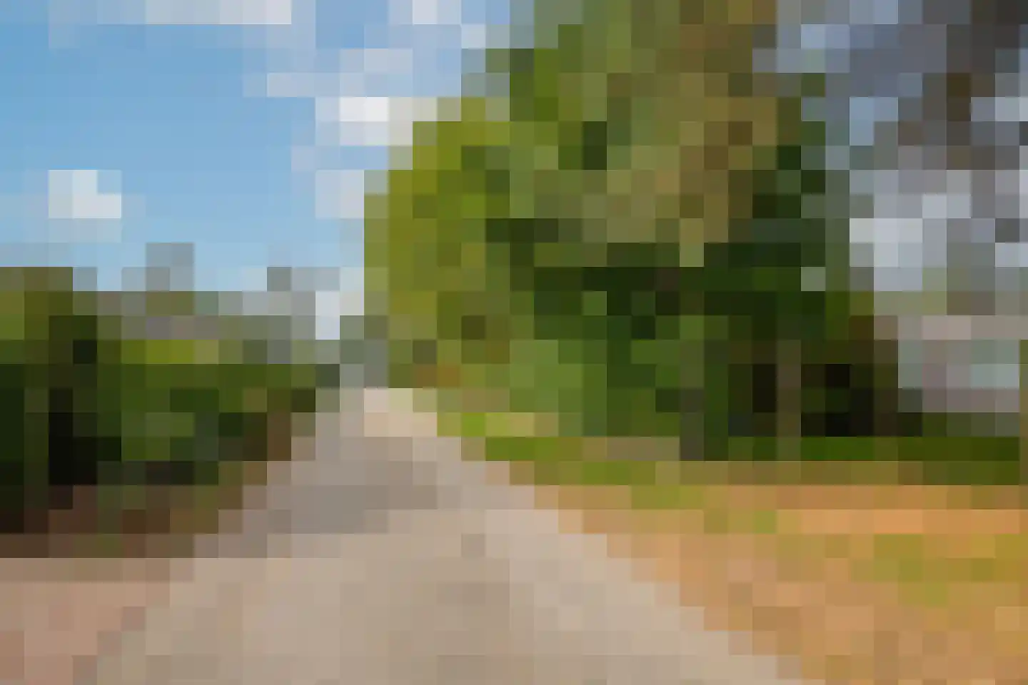 Kievit 12 b 683 Baarle-Nassau thumbnail 59
