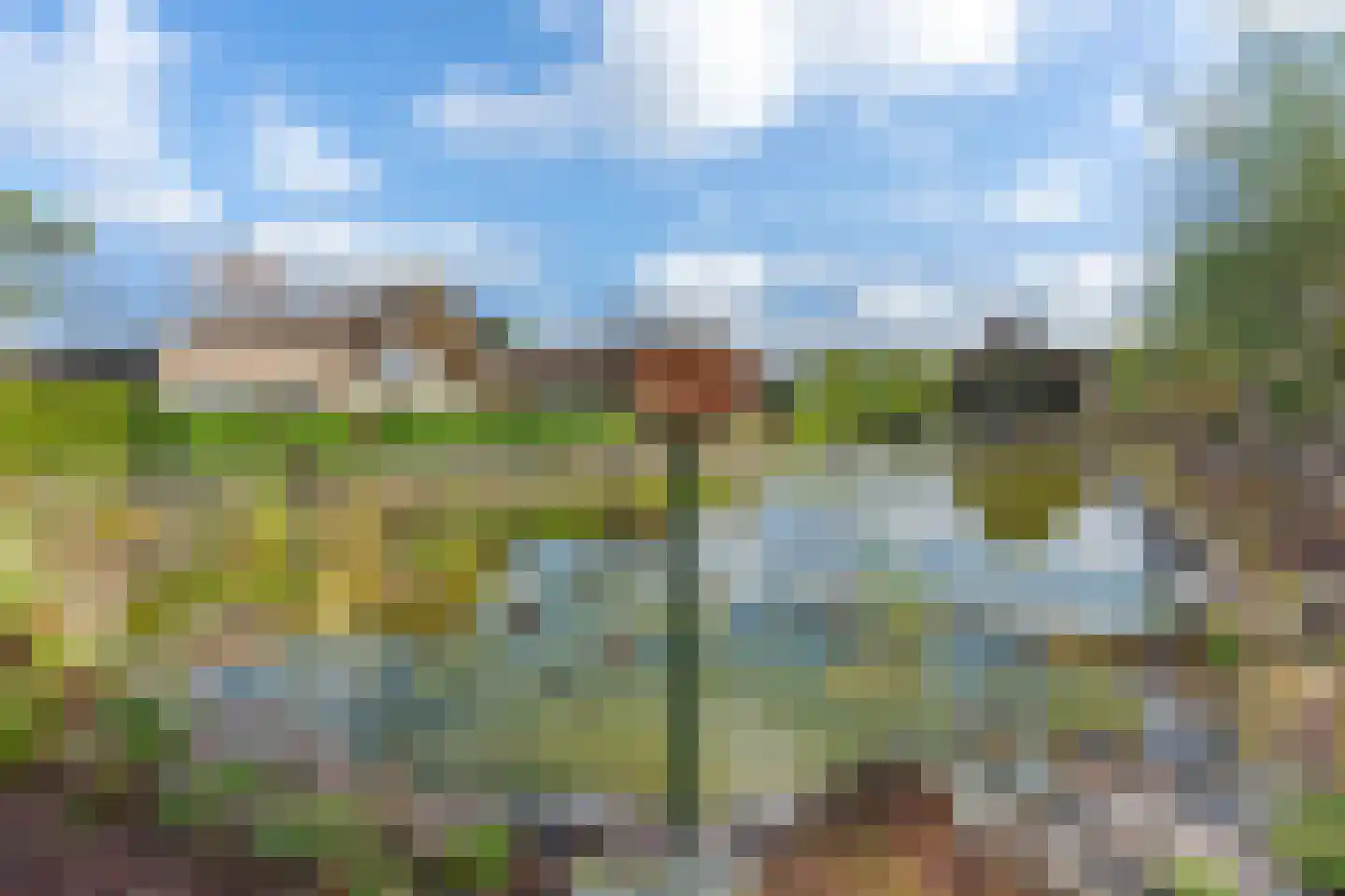 Kievit 12 b 706 Baarle-Nassau thumbnail 23