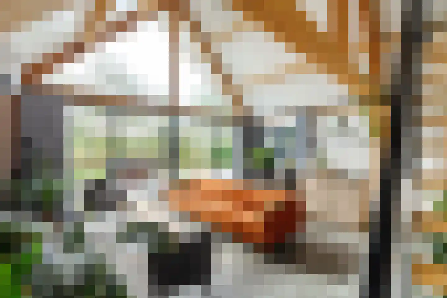 Kievit 12 b 706 Baarle-Nassau thumbnail 5