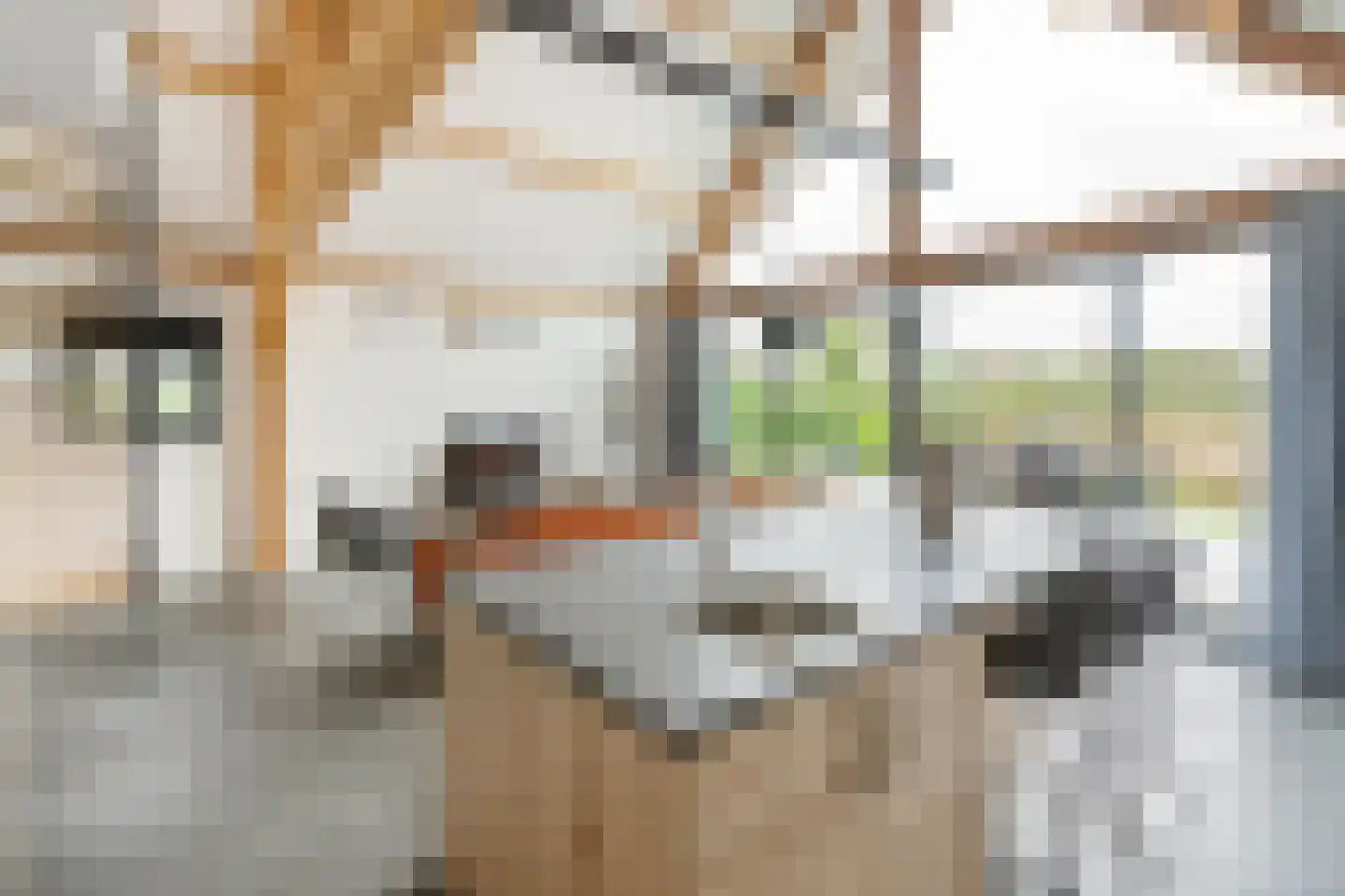 Kievit 12 b 711 Baarle-Nassau thumbnail 6