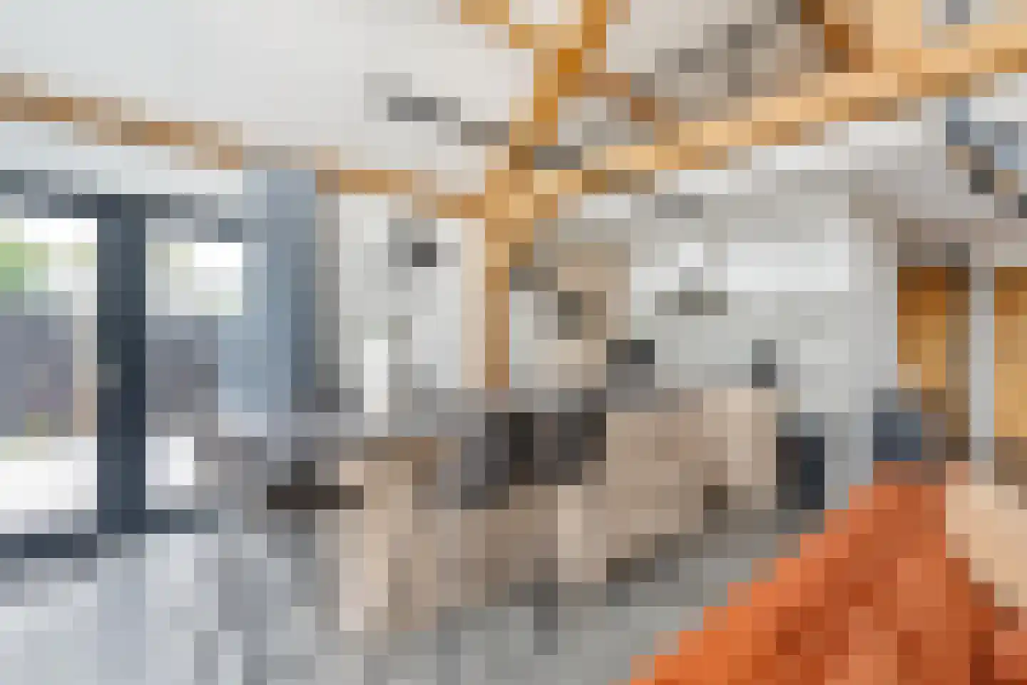 Kievit 12 b 711 Baarle-Nassau thumbnail 7