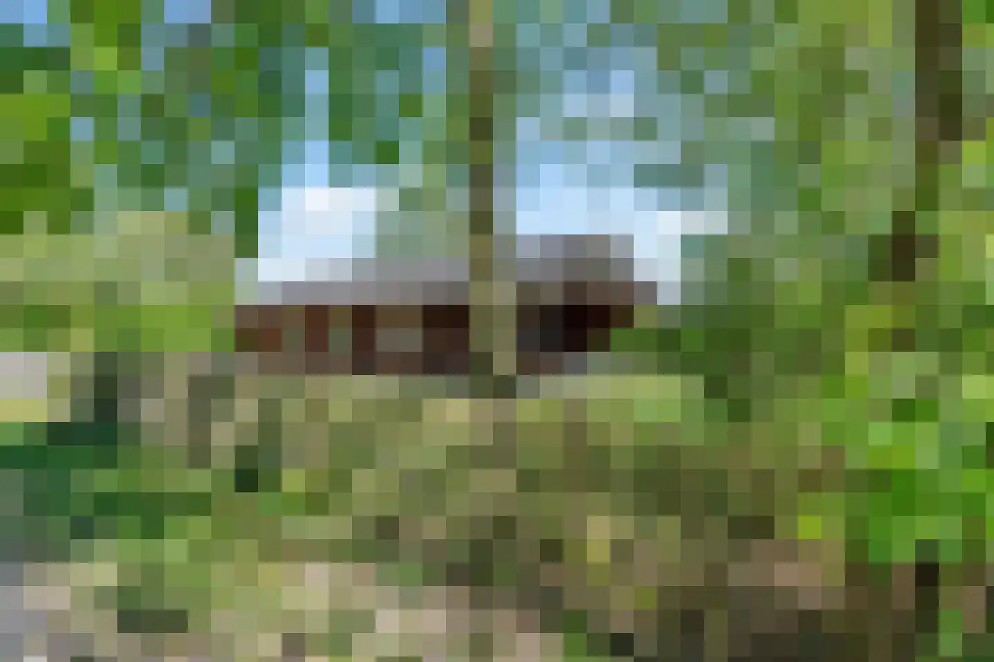 Kievit 12 b 723 Baarle-Nassau thumbnail 27