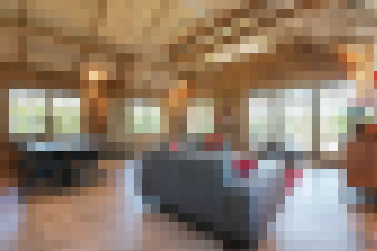 Kievit 12 b 723 Baarle-Nassau thumbnail 6
