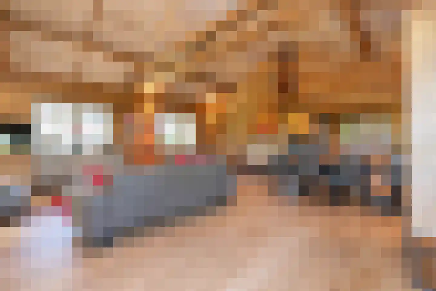 Kievit 12 b 723 Baarle-Nassau thumbnail 7
