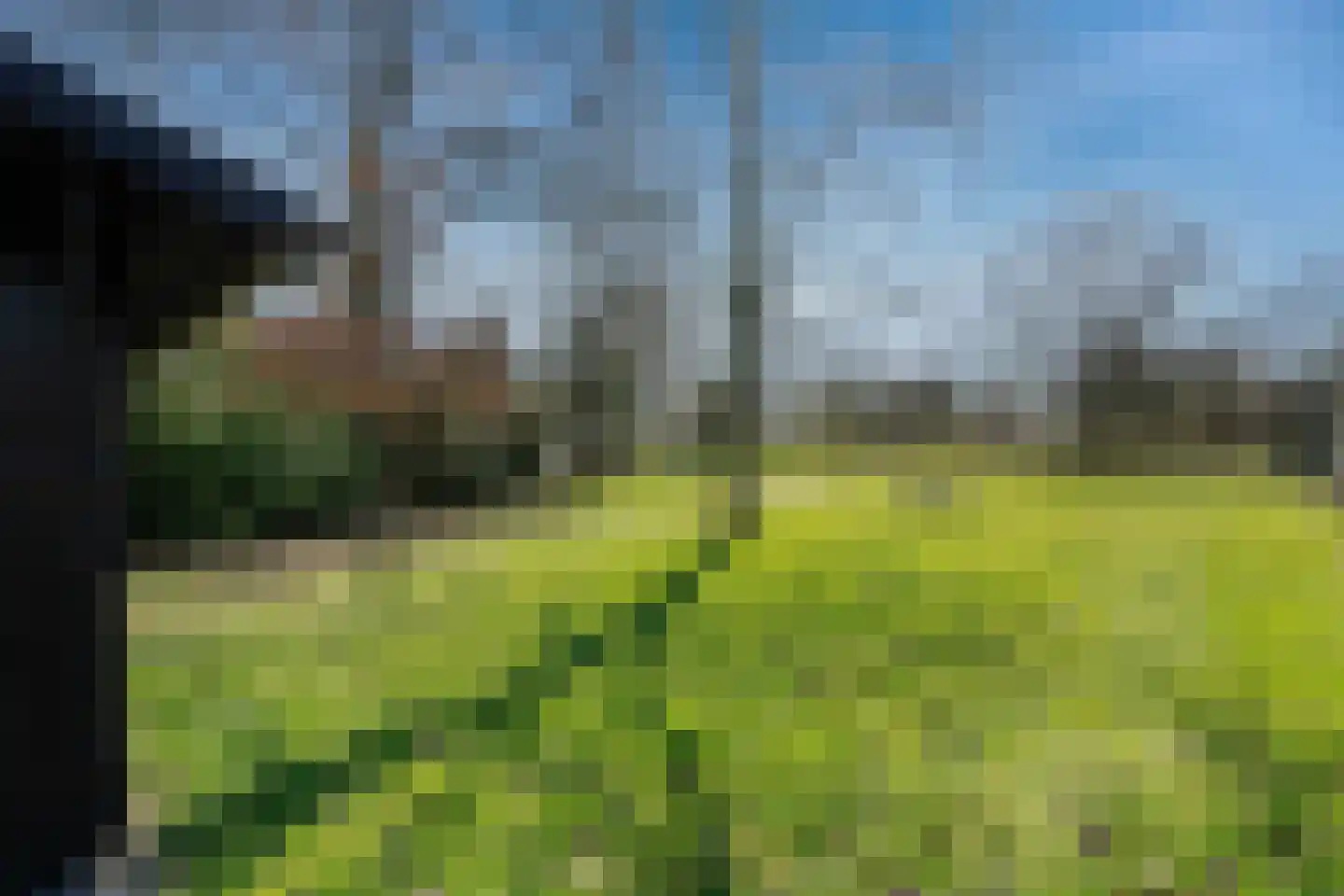 Kievit 12 B418 Baarle-Nassau thumbnail 22