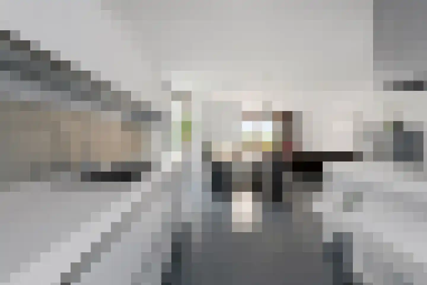 Kievit 12 Baarle-Nassau thumbnail 12