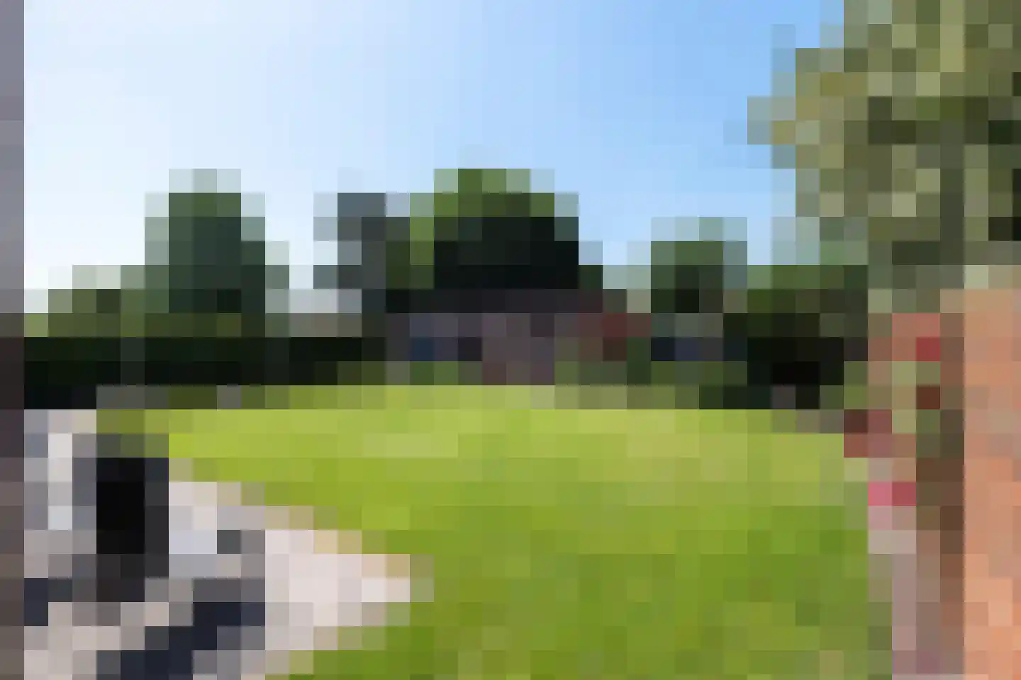Kievit 12 Baarle-Nassau thumbnail 34