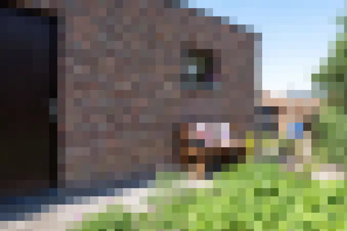 Kievit 12 Baarle-Nassau thumbnail 36