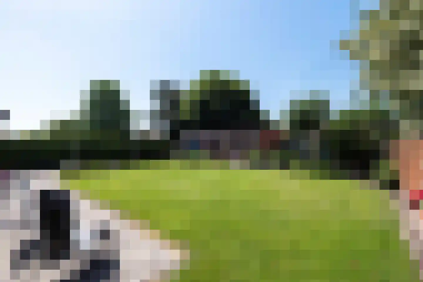 Kievit 12 Baarle-Nassau thumbnail 40