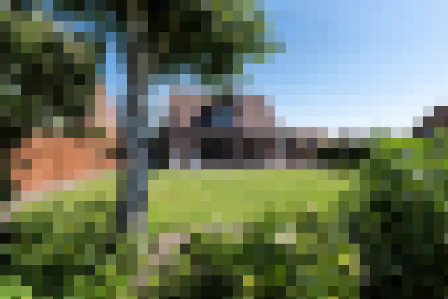 Kievit 12 Baarle-Nassau thumbnail 44