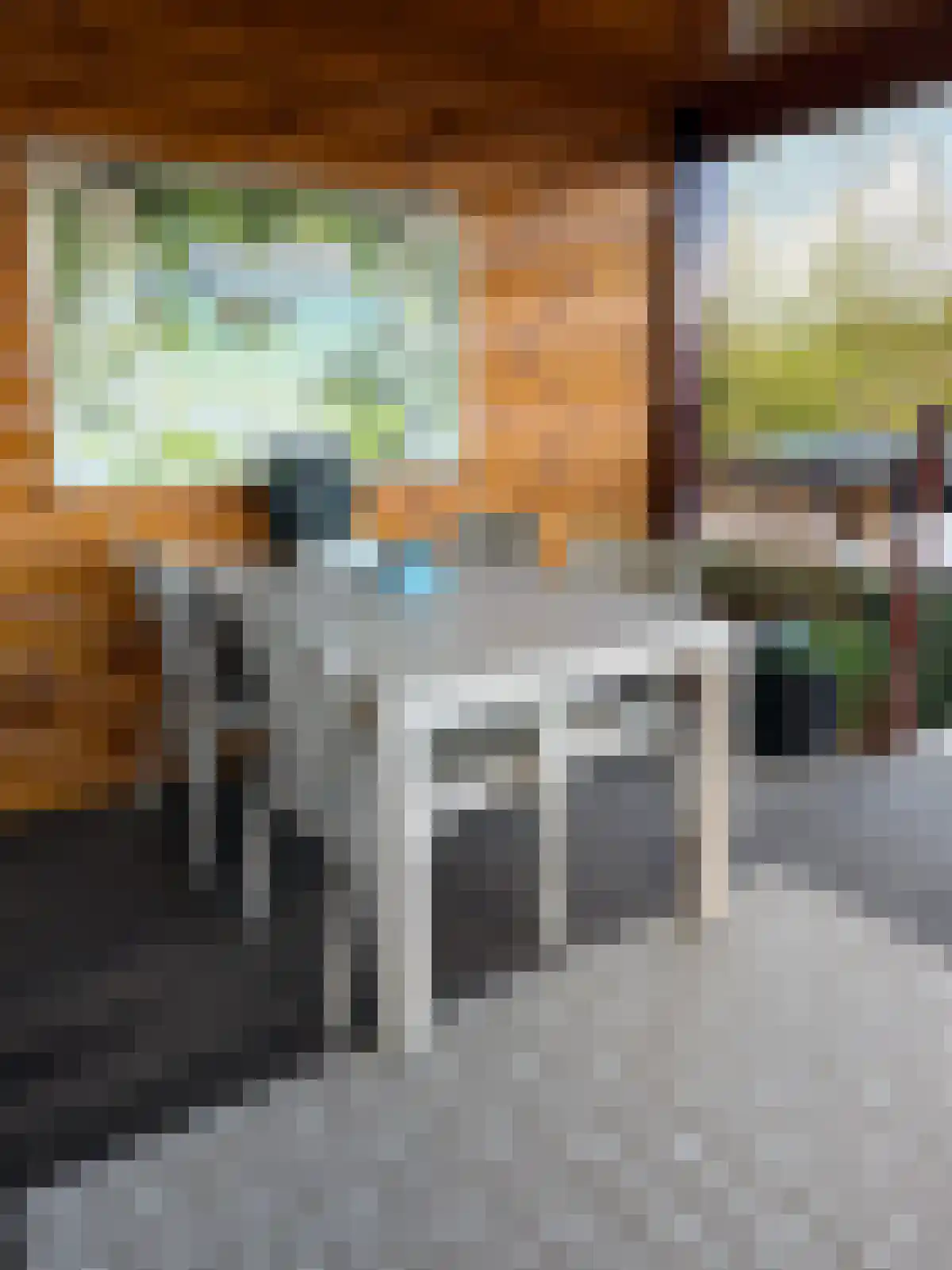 Kievit 12 Baarle-Nassau thumbnail 6
