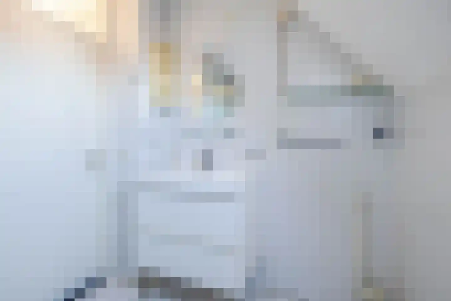 Kievit 12 Lemmer thumbnail 23
