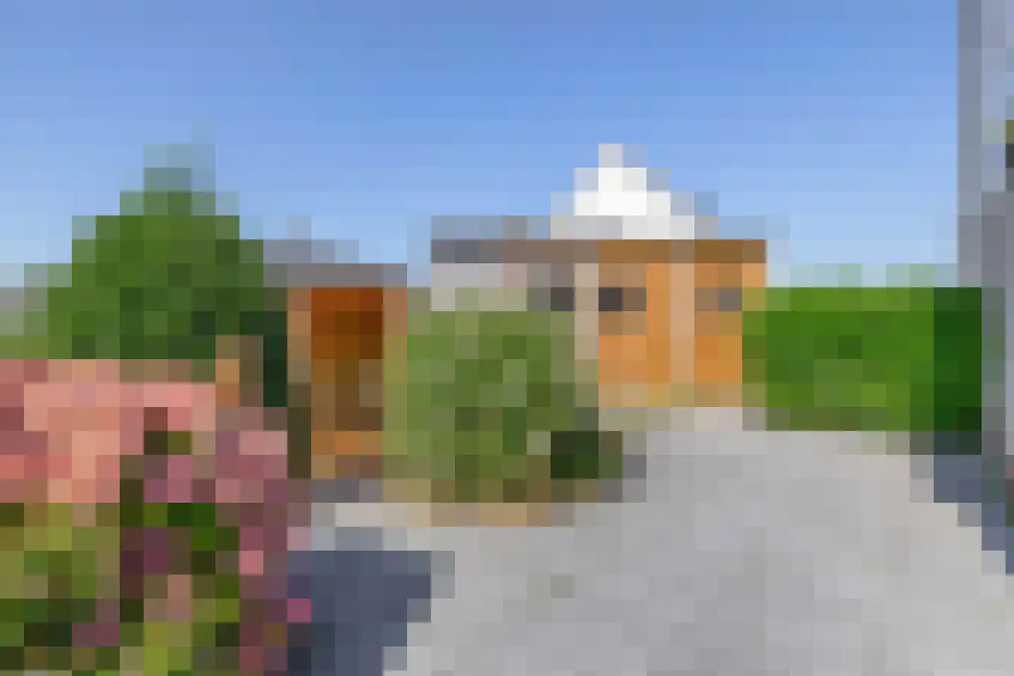 Kievit 12 Lemmer thumbnail 34