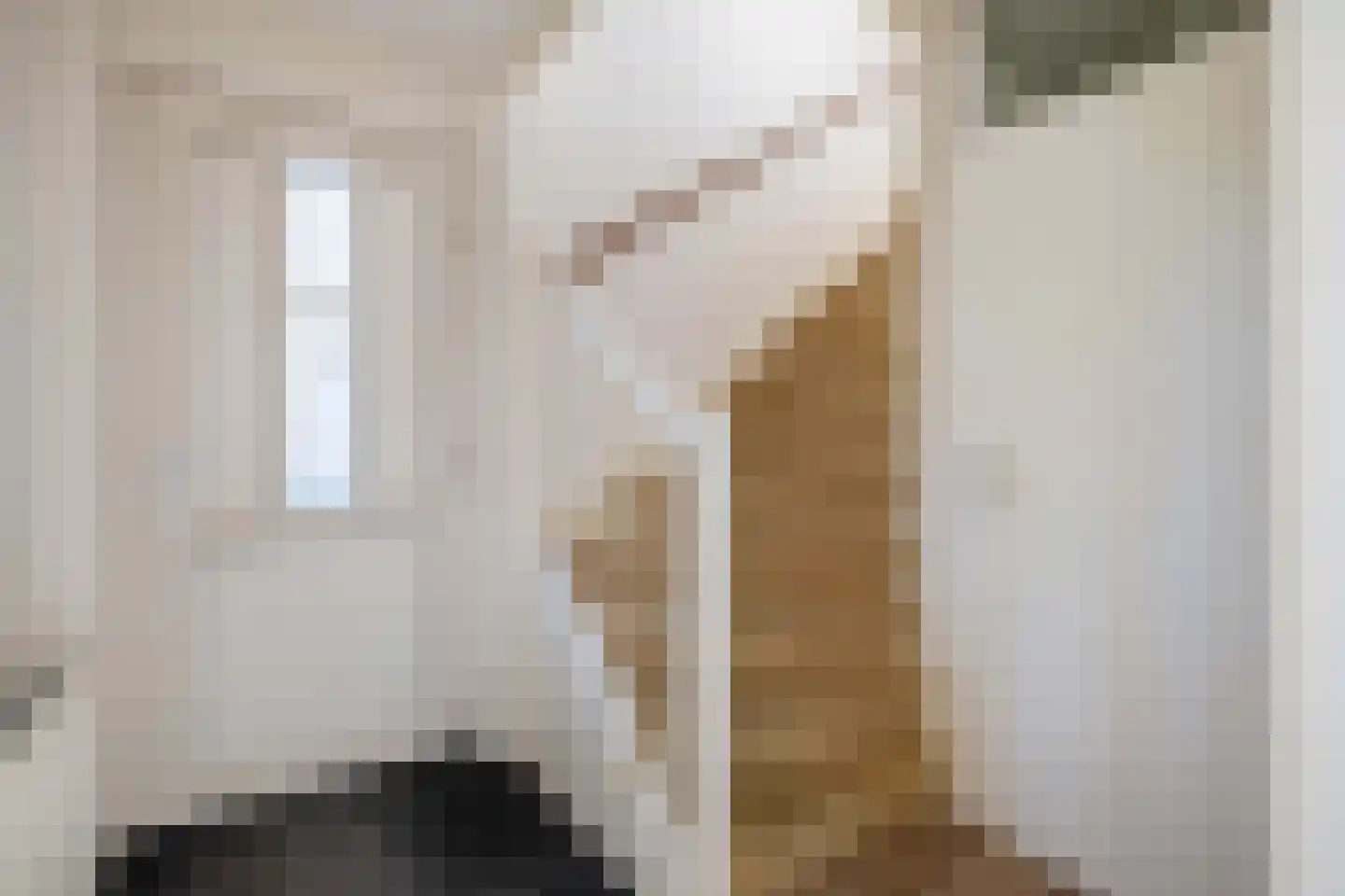 Kievit 12 Lemmer thumbnail 5