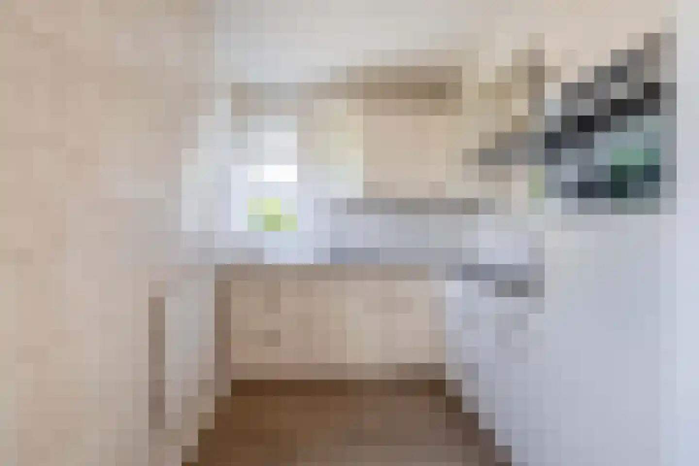 Kievit 12 Lemmer thumbnail 8