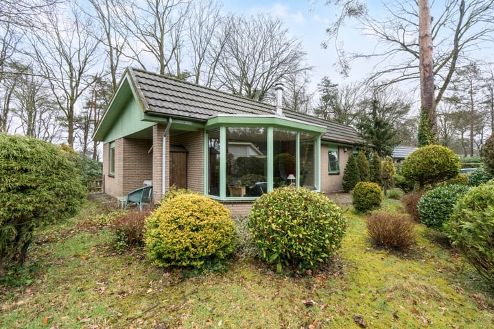 Kievit 12b-020 in Baarle-Nassau photo