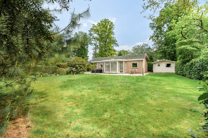 Kievit 12b-373 in Baarle-Nassau photo