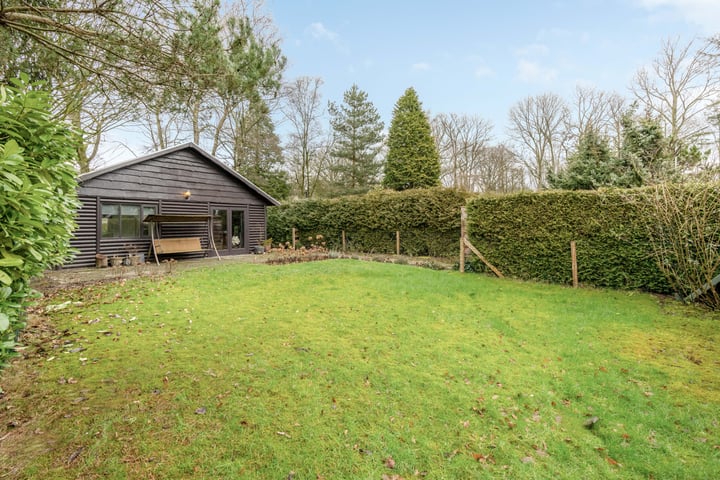 Kievit 12b-406 in Baarle-Nassau photo