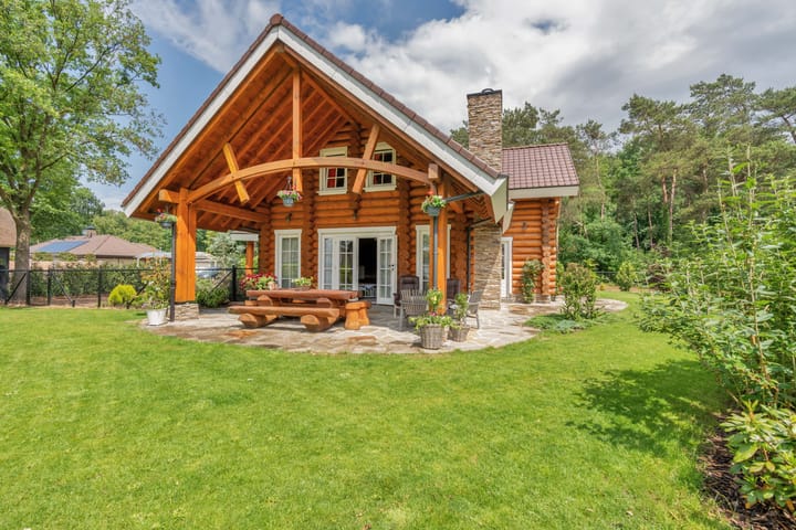 Kievit 12b-672 in Baarle-Nassau photo