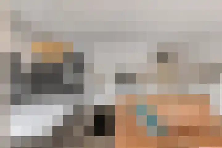 Kievit 13 De Lier thumbnail 16