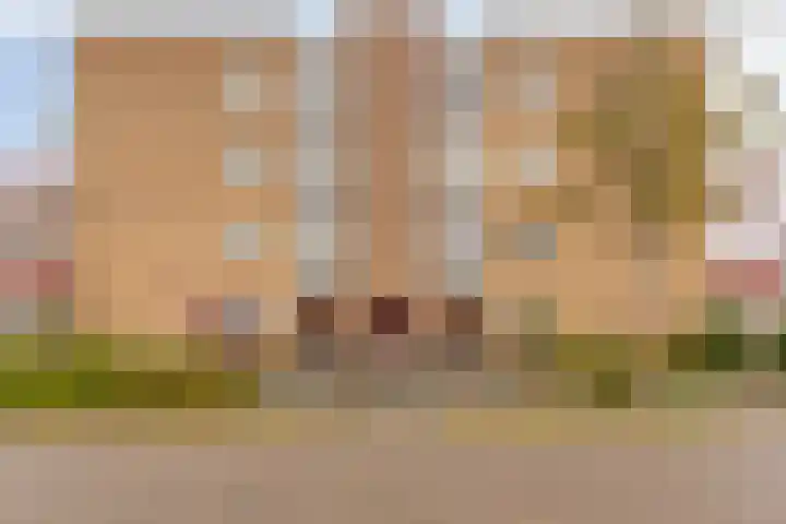 Kievit 13 De Lier thumbnail 5
