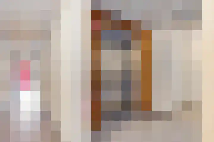 Kievit 13 De Lier thumbnail 8