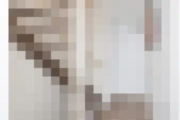 Kievit 136 Oss thumbnail 20