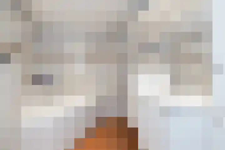 Kievit 136 Oss thumbnail 21