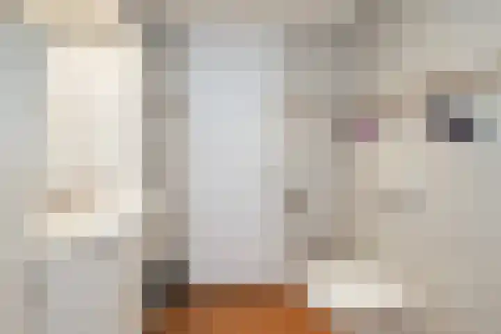 Kievit 136 Oss thumbnail 23