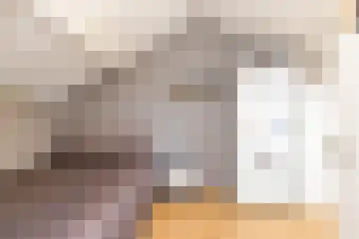 Kievit 136 Oss thumbnail 39