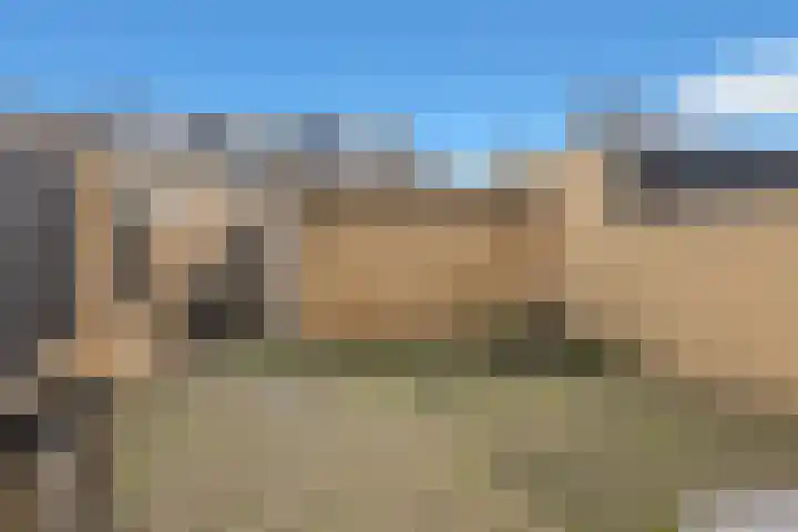 Kievit 136 Oss thumbnail 43
