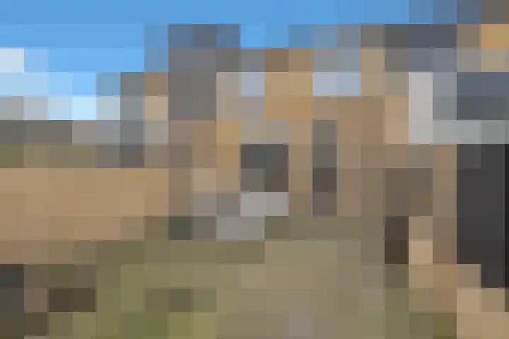 Kievit 136 Oss thumbnail 47