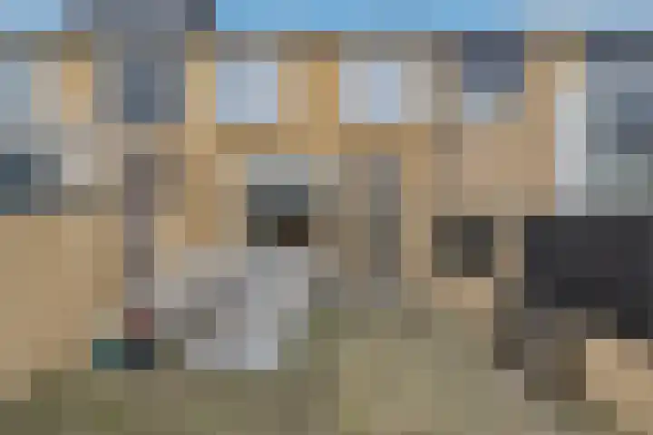 Kievit 136 Oss thumbnail 48