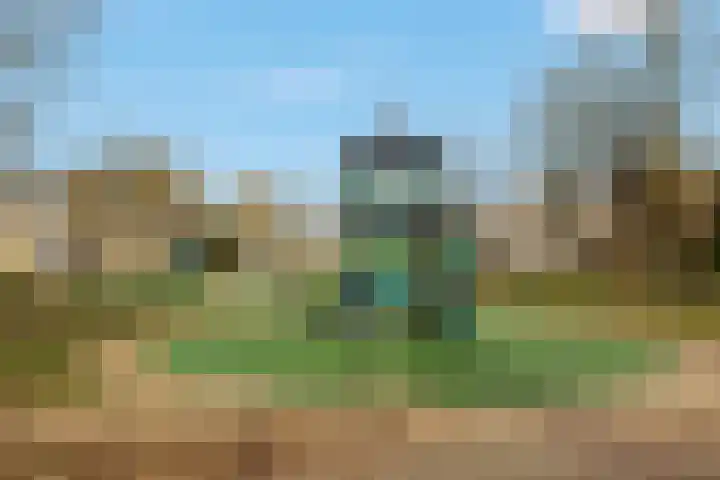 Kievit 136 Oss thumbnail 49